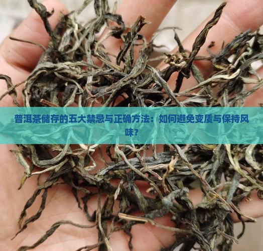 普洱茶储存的五大禁忌与正确方法：如何避免变质与保持风味？