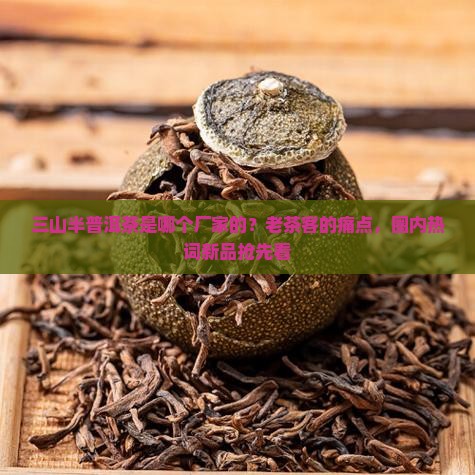 三山半普洱茶是哪个厂家的？老茶客的痛点，圈内热词新品抢先看