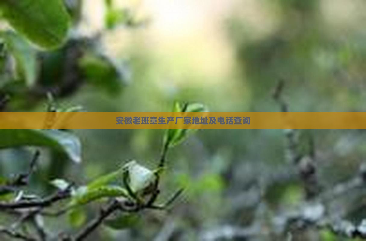 安徽老班章生产厂家地址及电话查询
