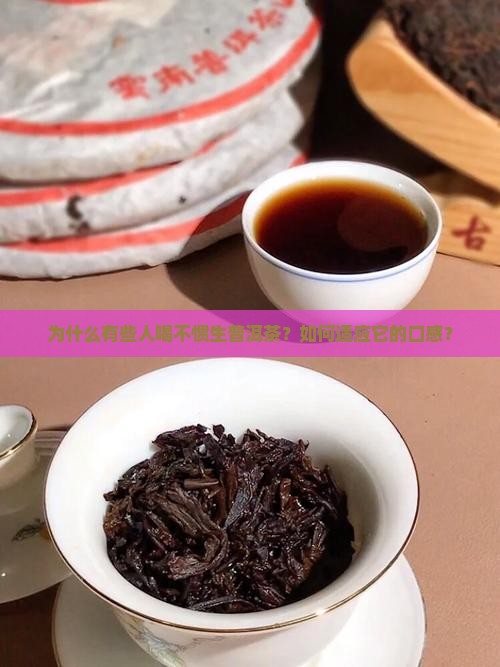 为什么有些人喝不惯生普洱茶？如何适应它的口感？