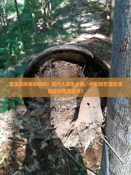 普洱茶拼茶好喝吗？现代人养生必备，拼配技艺能否满足你的味蕾需求？