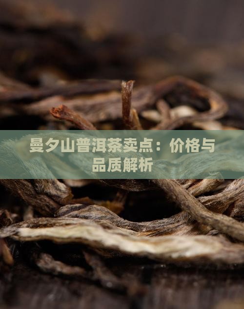 曼夕山普洱茶卖点：价格与品质解析