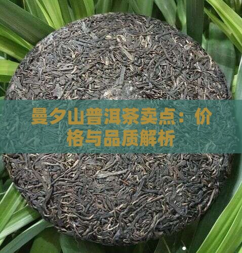 曼夕山普洱茶卖点：价格与品质解析