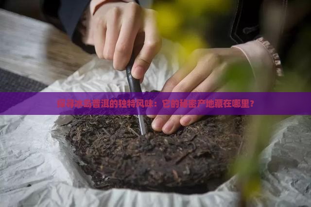 探寻冰岛普洱的独特风味：它的秘密产地藏在哪里？
