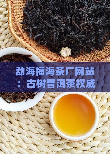 勐海福海茶厂网站：古树普洱茶权威指南