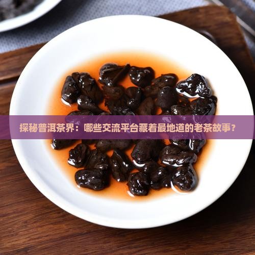 探秘普洱茶界：哪些交流平台藏着最地道的老茶故事？