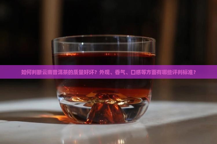 如何判断云南普洱茶的质量好坏？外观、香气、口感等方面有哪些评判标准？
