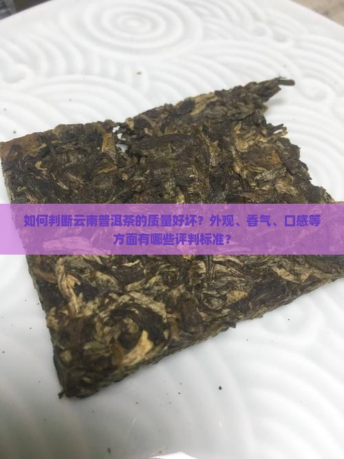 如何判断云南普洱茶的质量好坏？外观、香气、口感等方面有哪些评判标准？