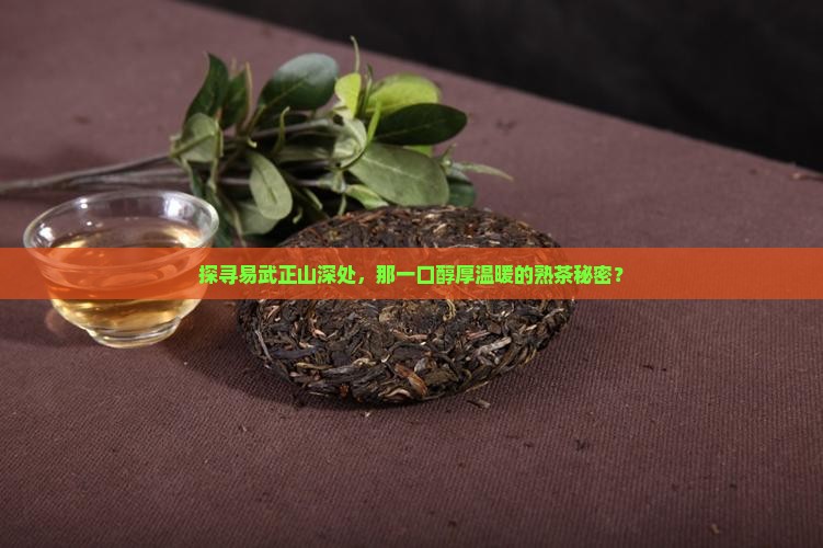 探寻易武正山深处，那一口醇厚温暖的熟茶秘密？