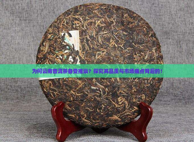 为何云南普洱茶备受推崇？探究其品质与市场痛点背后的！