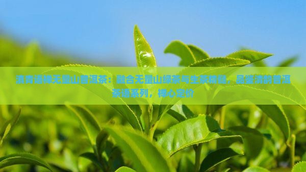 滇青语禅无量山普洱茶：融合无量山绿茶与生茶精髓，品鉴清韵普洱茶语系列，禅心定价