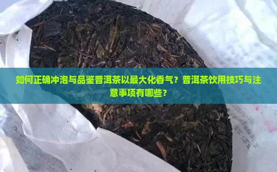 如何正确冲泡与品鉴普洱茶以最大化香气？普洱茶饮用技巧与注意事项有哪些？