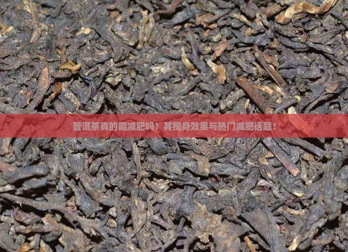 普洱茶真的能减肥吗？其瘦身效果与热门减肥话题！