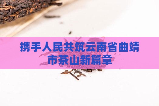 携手人民共筑云南省曲靖市茶山新篇章