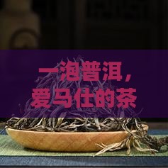 一泡普洱，爱马仕的茶香