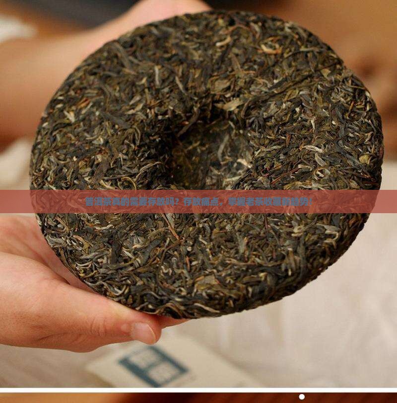 普洱茶真的需要存放吗？存放痛点，掌握老茶收藏新趋势！