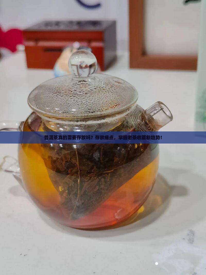 普洱茶真的需要存放吗？存放痛点，掌握老茶收藏新趋势！