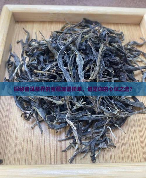 探秘普洱茶界的宝藏加盟榜单，谁是你的心仪之选？