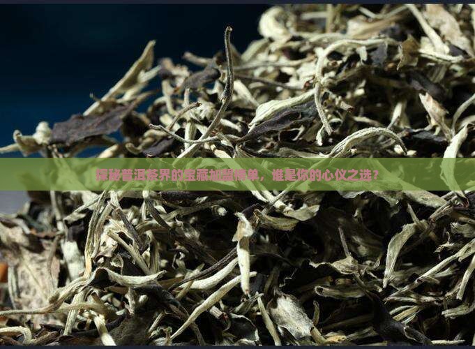 探秘普洱茶界的宝藏加盟榜单，谁是你的心仪之选？
