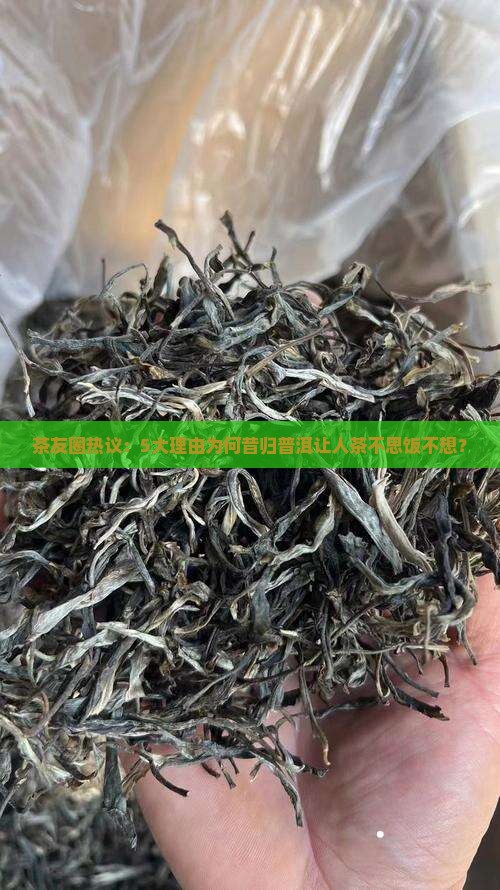 茶友圈热议：5大理由为何昔归普洱让人茶不思饭不想？