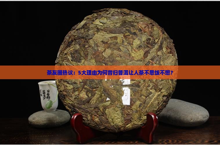 茶友圈热议：5大理由为何昔归普洱让人茶不思饭不想？