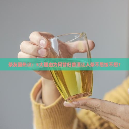 茶友圈热议：5大理由为何昔归普洱让人茶不思饭不想？