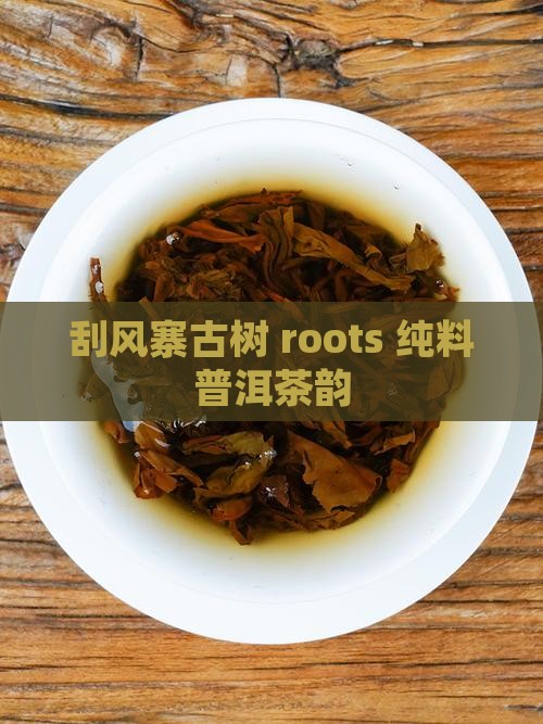 刮风寨古树 roots 纯料普洱茶韵
