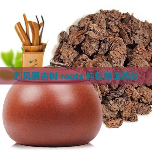 刮风寨古树 roots 纯料普洱茶韵