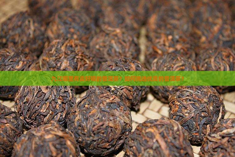 九江哪里有卖好喝的普洱茶？如何挑选优质的普洱茶？