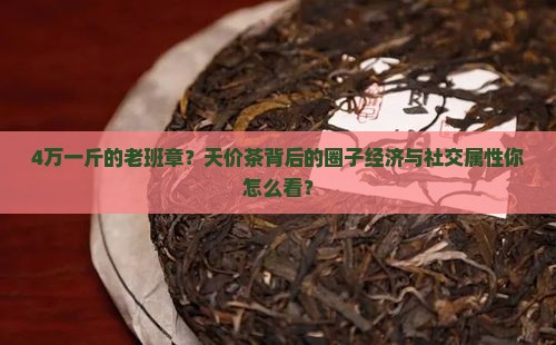 4万一斤的老班章？天价茶背后的圈子经济与社交属性你怎么看？