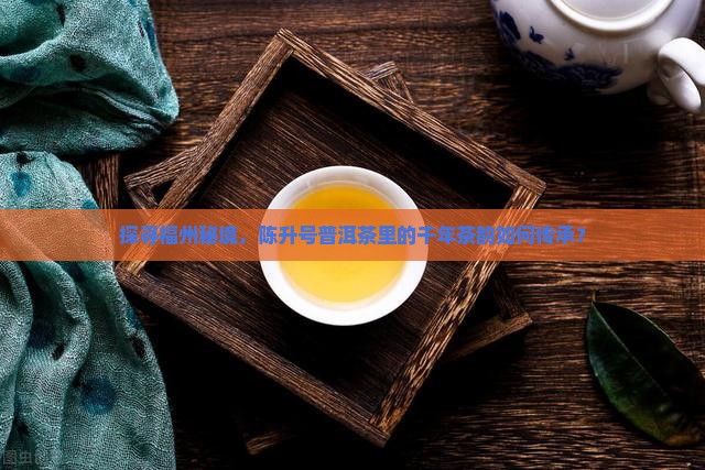 探寻福州秘境，陈升号普洱茶里的千年茶韵如何传承？