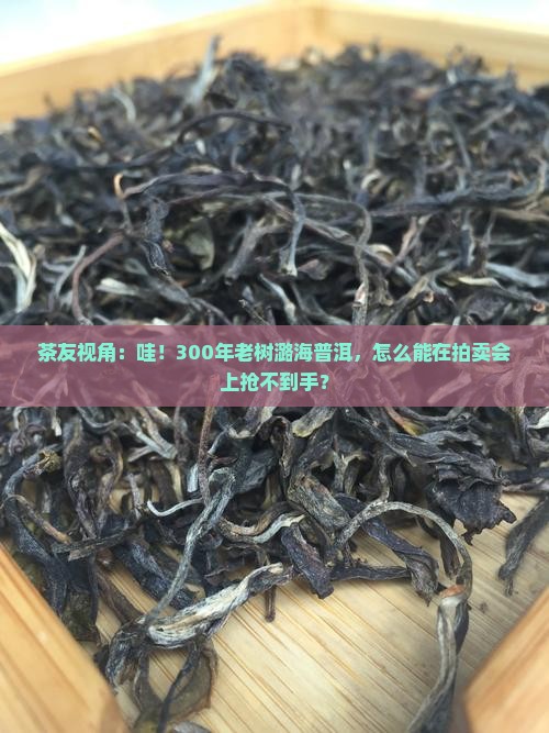 茶友视角：哇！300年老树潞海普洱，怎么能在拍卖会上抢不到手？