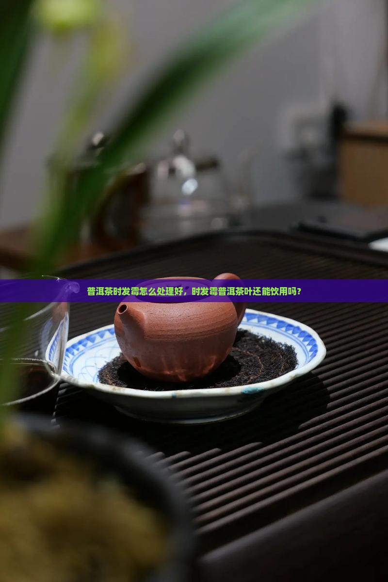 普洱茶时发霉怎么处理好，时发霉普洱茶叶还能饮用吗？