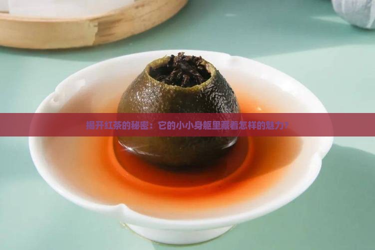 揭开红茶的秘密：它的小小身躯里藏着怎样的魅力？