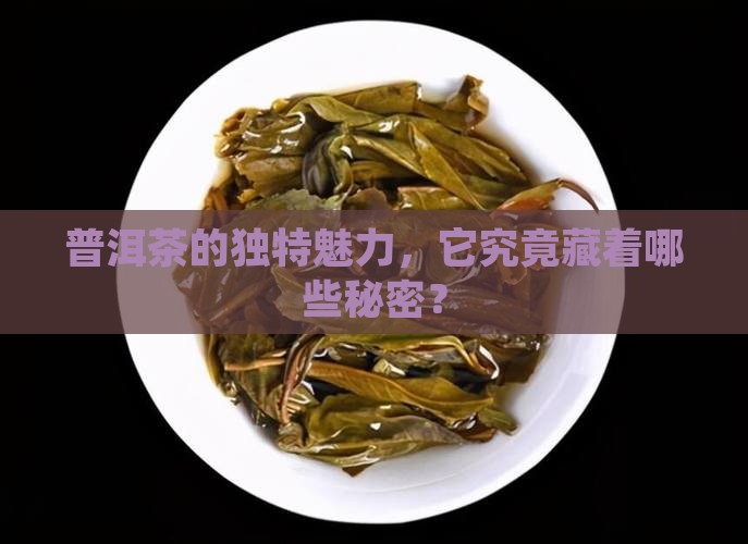 普洱茶的独特魅力，它究竟藏着哪些秘密？