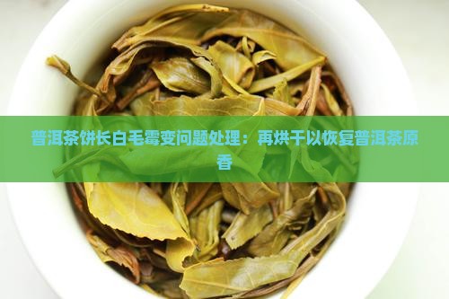 普洱茶饼长白毛霉变问题处理：再烘干以恢复普洱茶原香