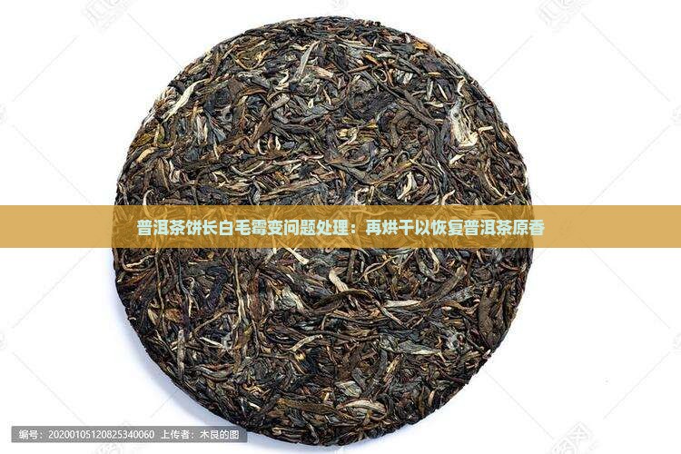 普洱茶饼长白毛霉变问题处理：再烘干以恢复普洱茶原香