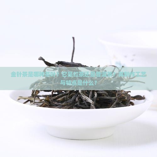 金针茶是哪种茶叶？它是红茶还是普洱茶？其制作工艺与特点是什么？