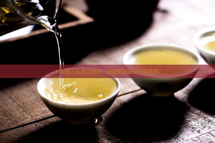 ！哪座山头的古树茶，能媲美传说中的凤凰窝？