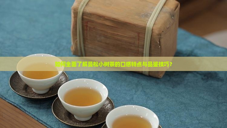 如何全面了解曼松小树茶的口感特点与品鉴技巧？