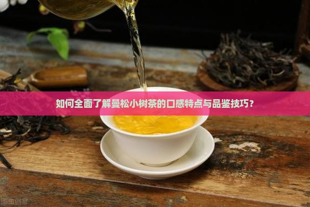如何全面了解曼松小树茶的口感特点与品鉴技巧？
