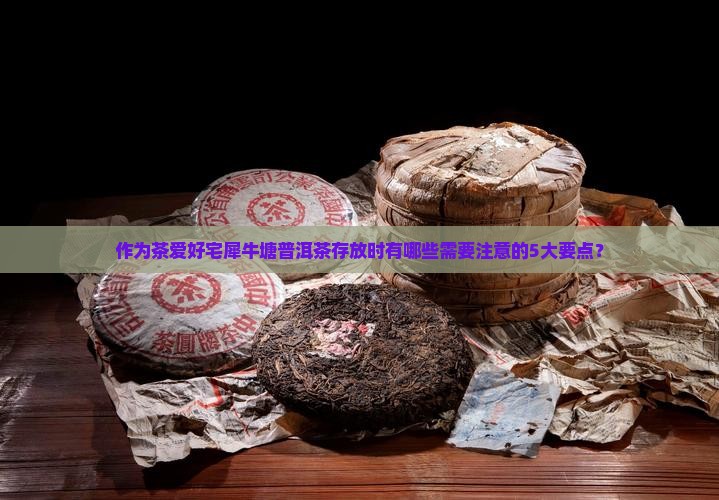 作为茶爱好宅犀牛塘普洱茶存放时有哪些需要注意的5大要点？