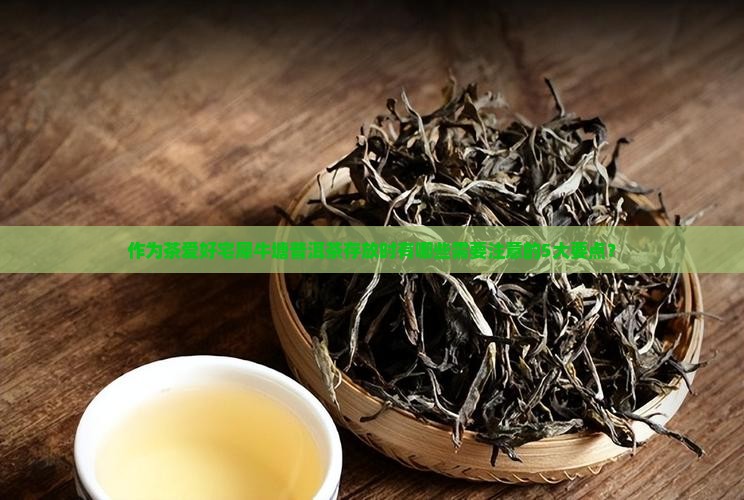作为茶爱好宅犀牛塘普洱茶存放时有哪些需要注意的5大要点？