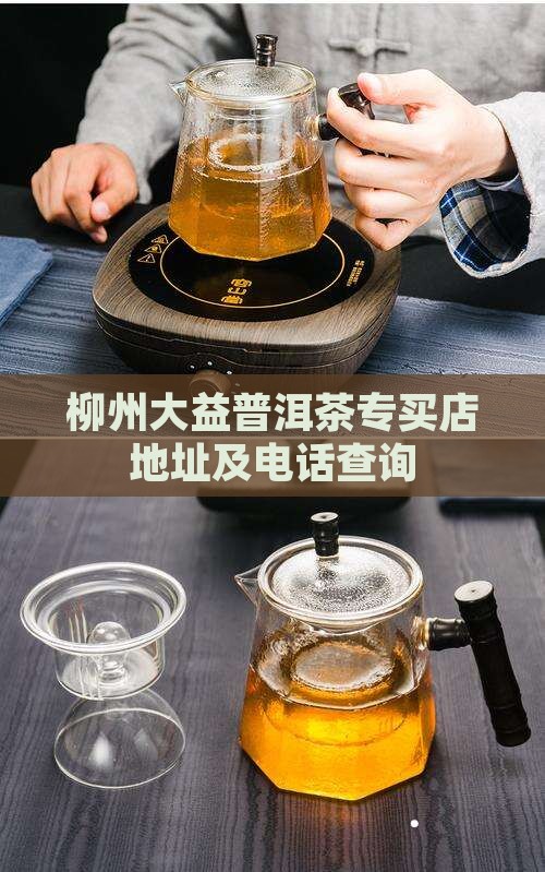 柳州大益普洱茶专买店地址及电话查询