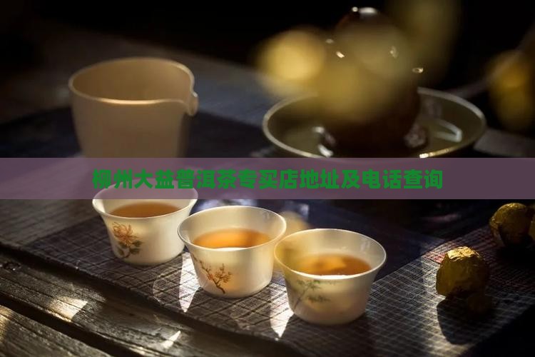 柳州大益普洱茶专买店地址及电话查询