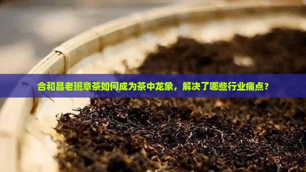 合和昌老班章茶如何成为茶中龙象，解决了哪些行业痛点？