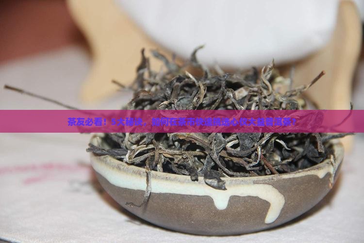 茶友必看！5大秘诀，如何在茶市快速挑选心仪大益普洱茶？