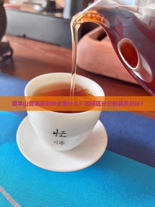原本山普洱茶的特点是什么？如何区分它的品质好坏？