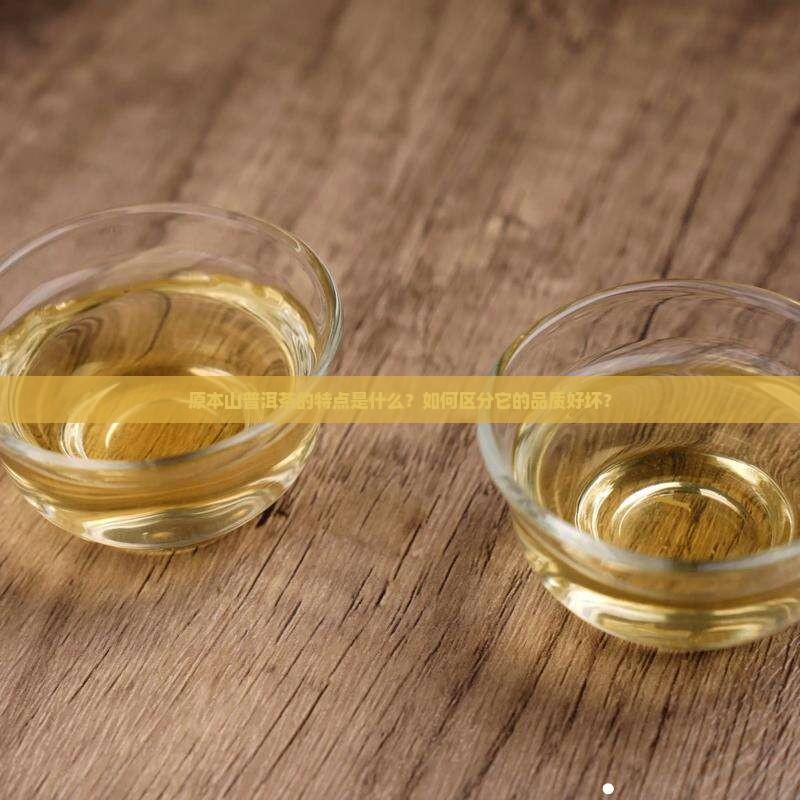 原本山普洱茶的特点是什么？如何区分它的品质好坏？