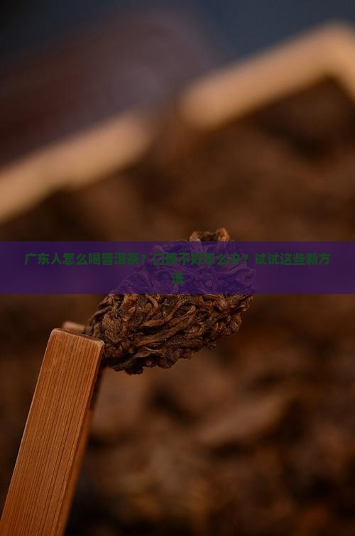 广东人怎么喝普洱茶？口感不好怎么办？试试这些新方法